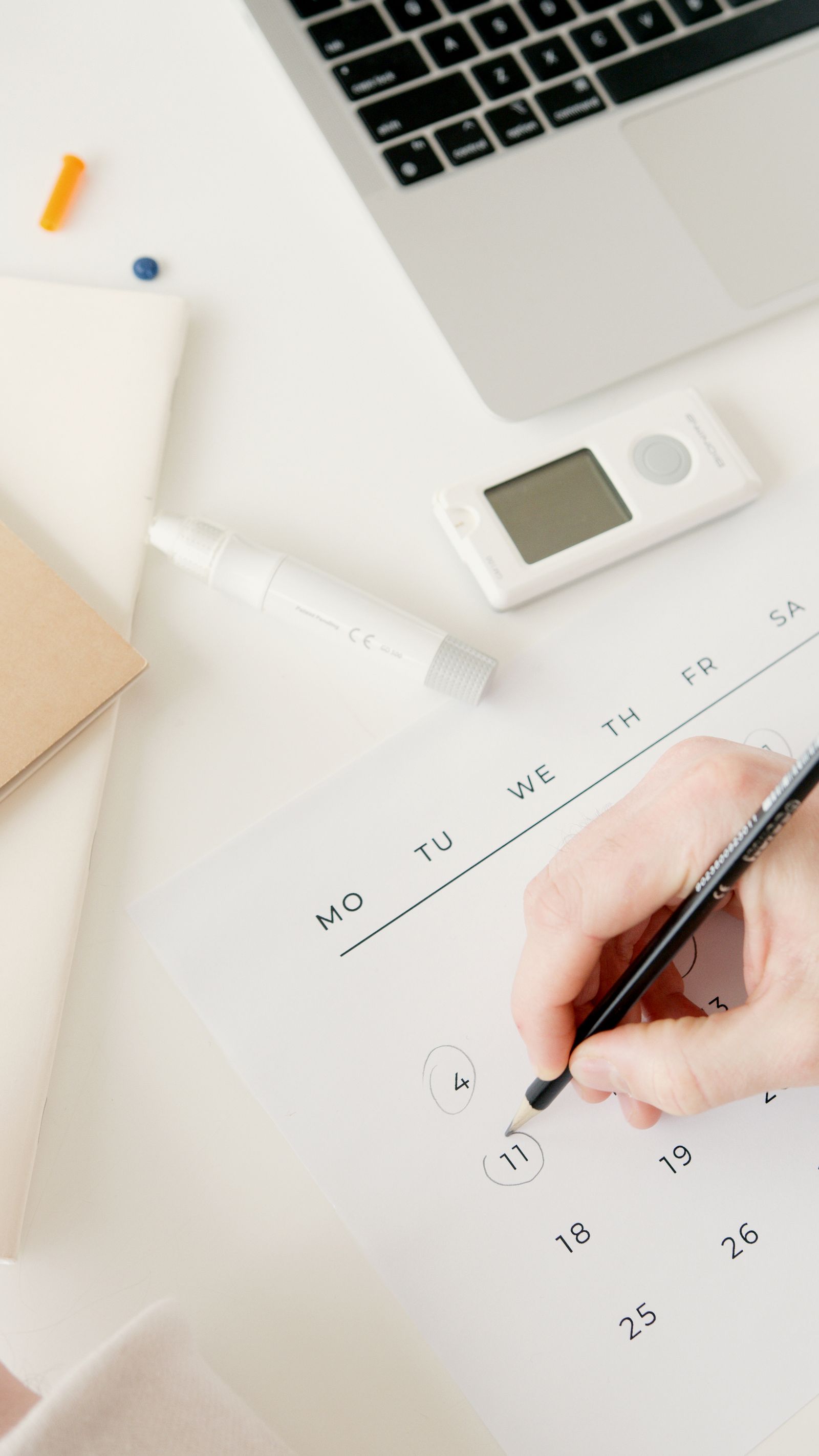 Domain Name Renewals: What You Need to Know