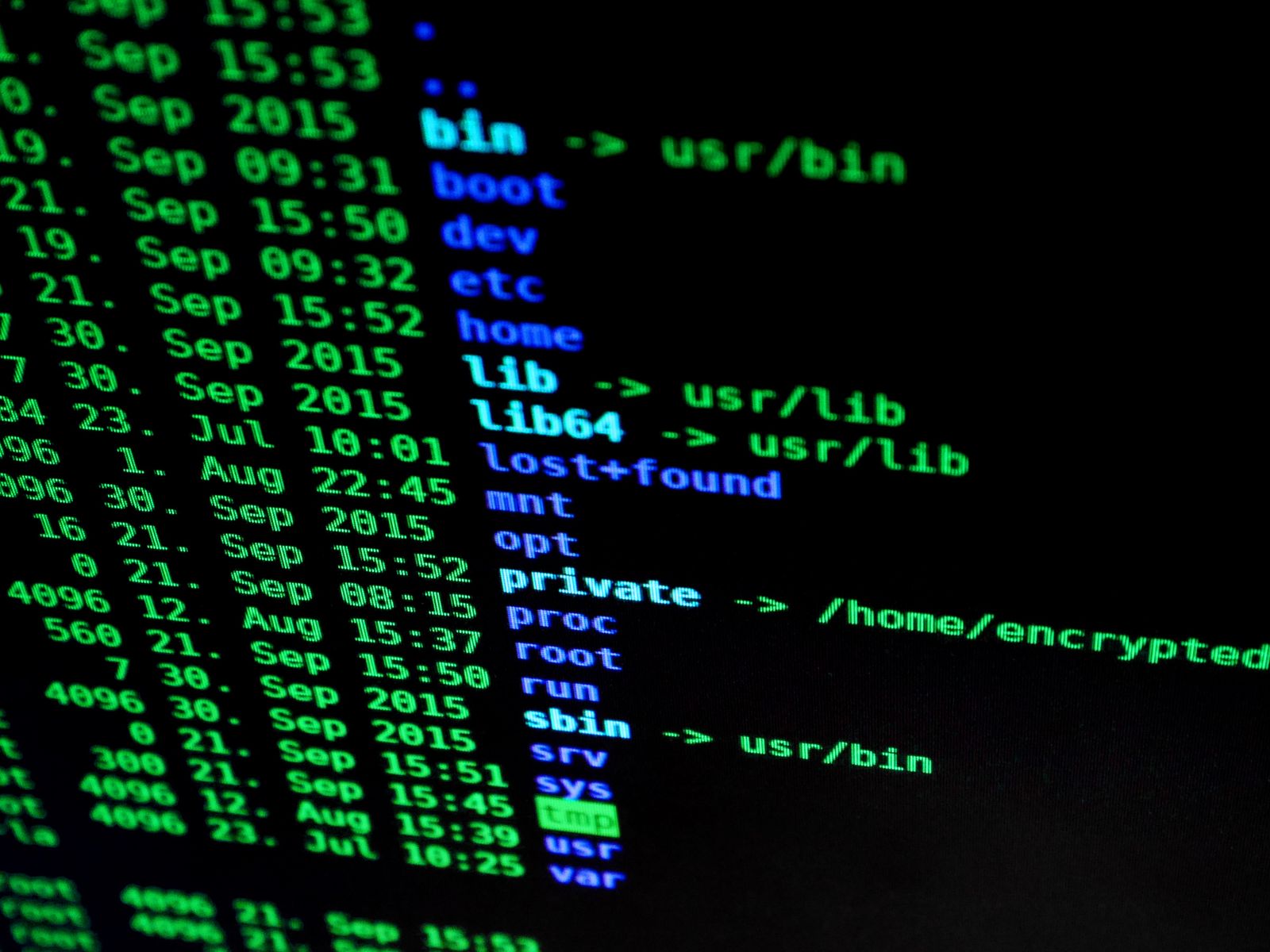 Website Security: Essential Measures Every Business Needs