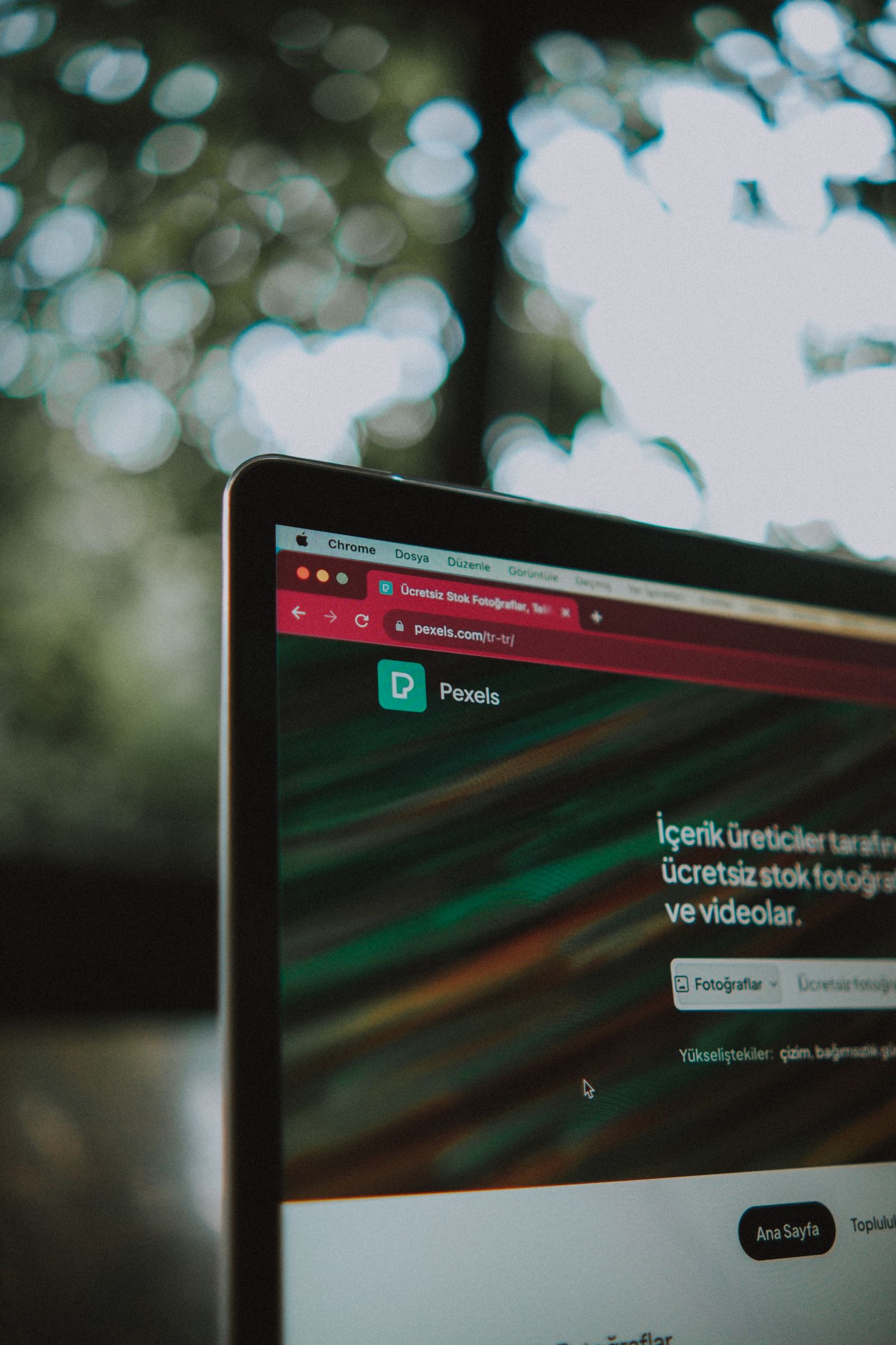 Understanding TLDs: .com vs .org vs .net and Beyond